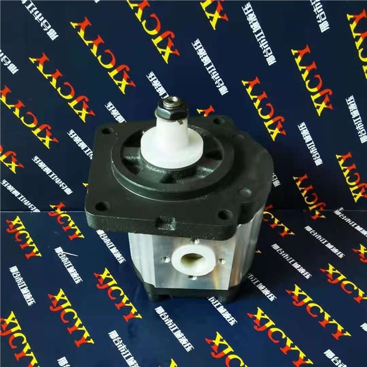 Ebro Tractor Pump CTP400851