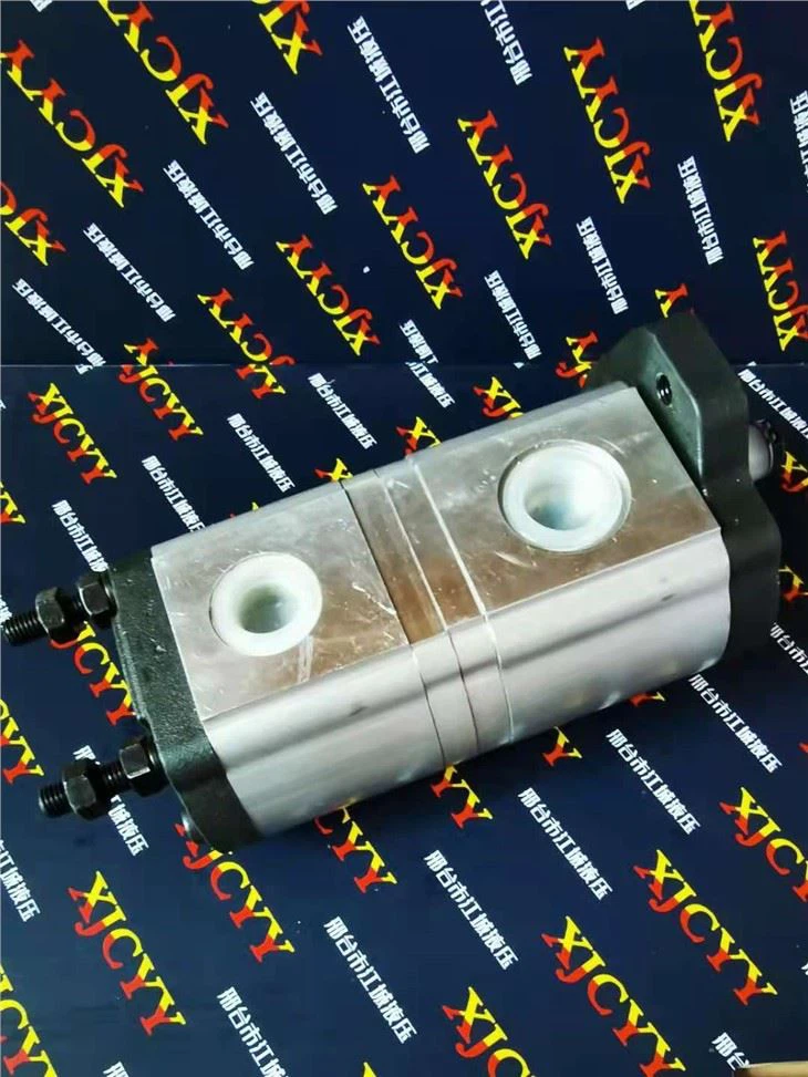 Hydraulic Double Gear Pump